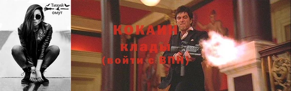 винт Майский