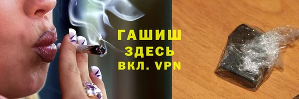 индика Магас
