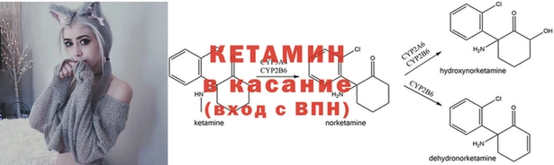 винт Майский