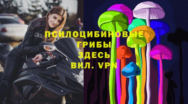 винт Майский
