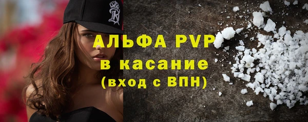 индика Магас