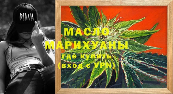 индика Магас