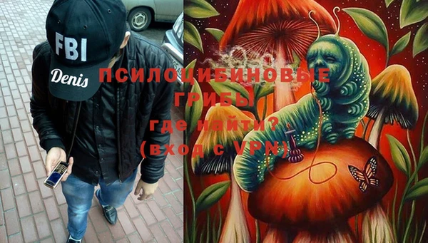 индика Магас