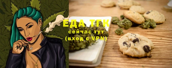 индика Магас